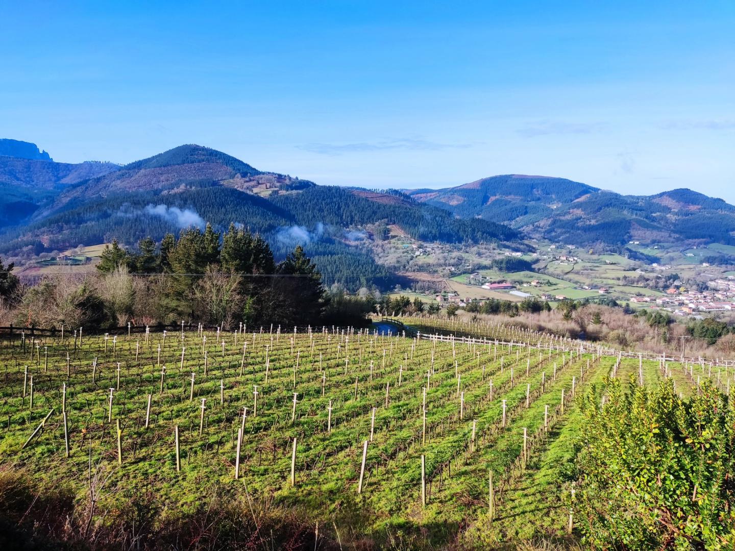 S.A.L.T. Michelin Star Basque Culinary Excellence