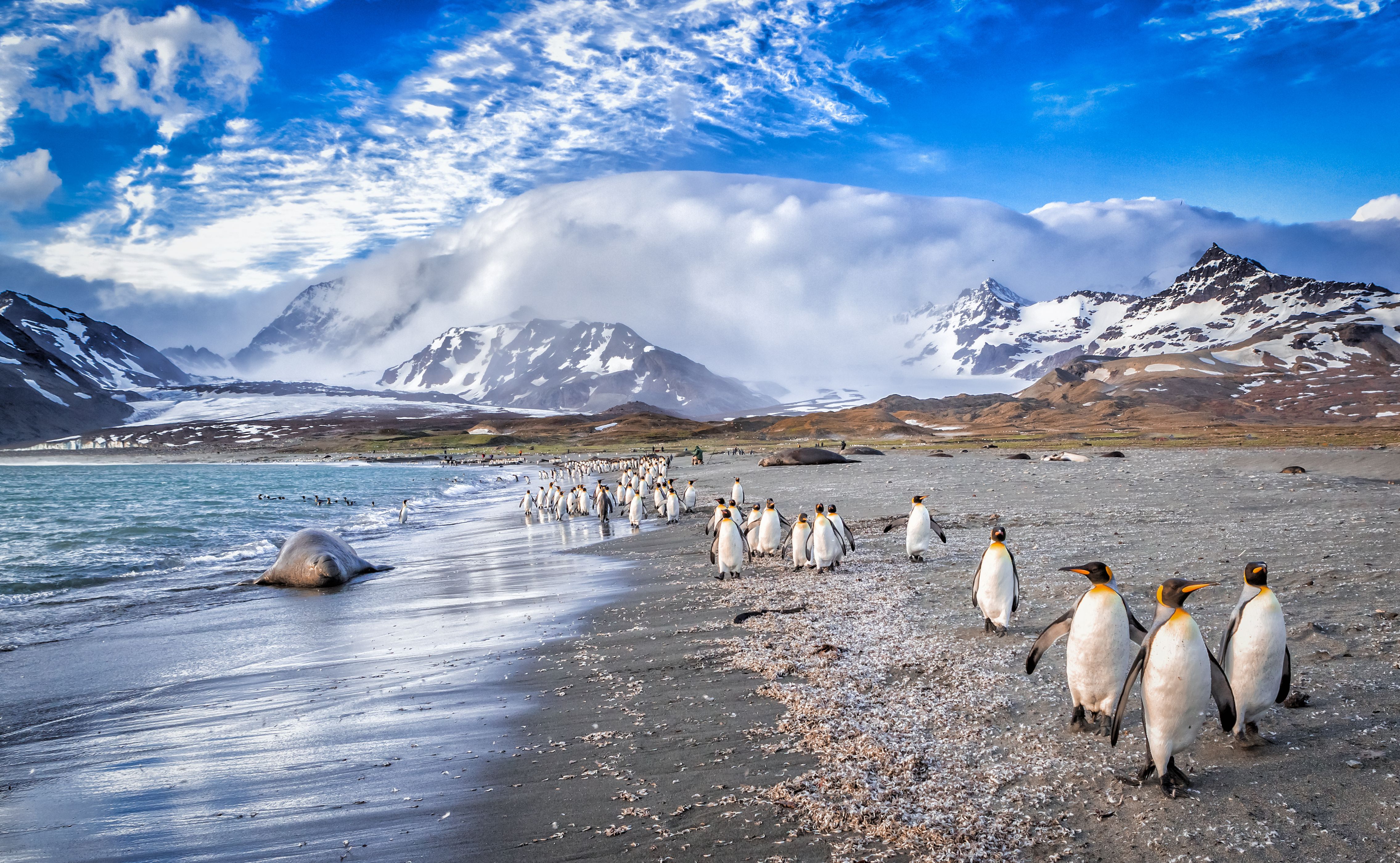 New Winter Luxury Cruises Antarctica 202526 Silversea