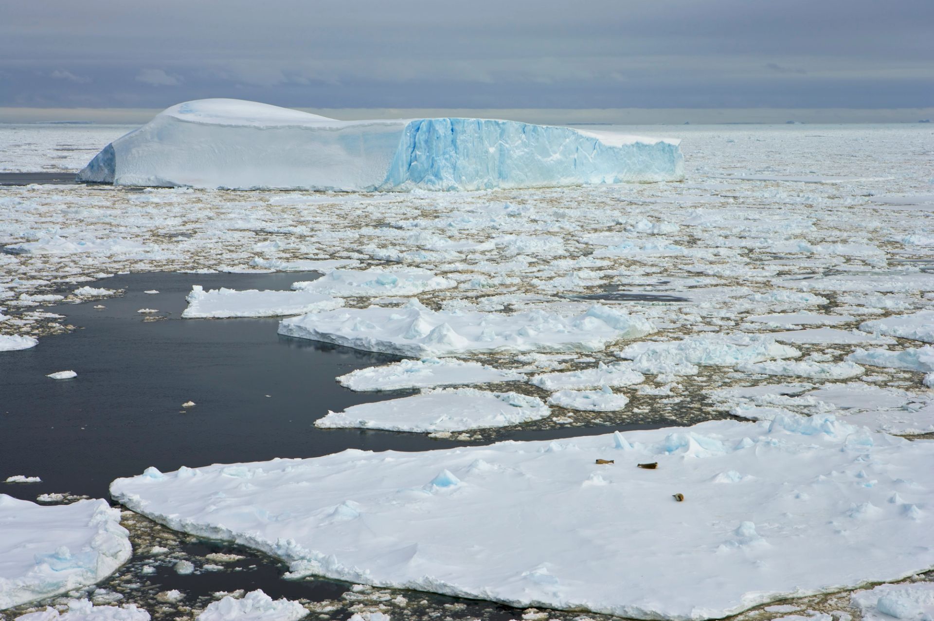 Isla King George a Puerto Williams