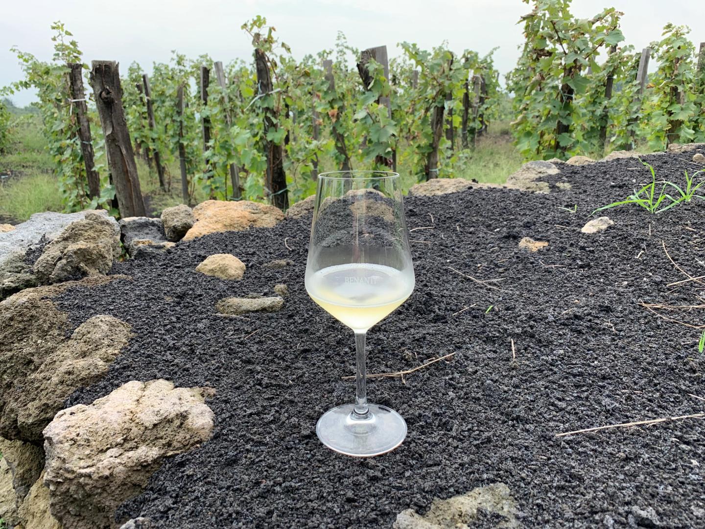 S.A.L.T. Etna Wines Experience & Lunch at Benanti Winery
