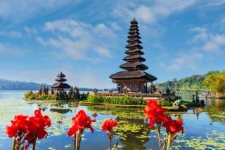 Balinese Bounty