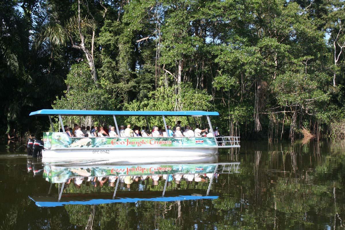 Easy Cruise to the Eco Jungle