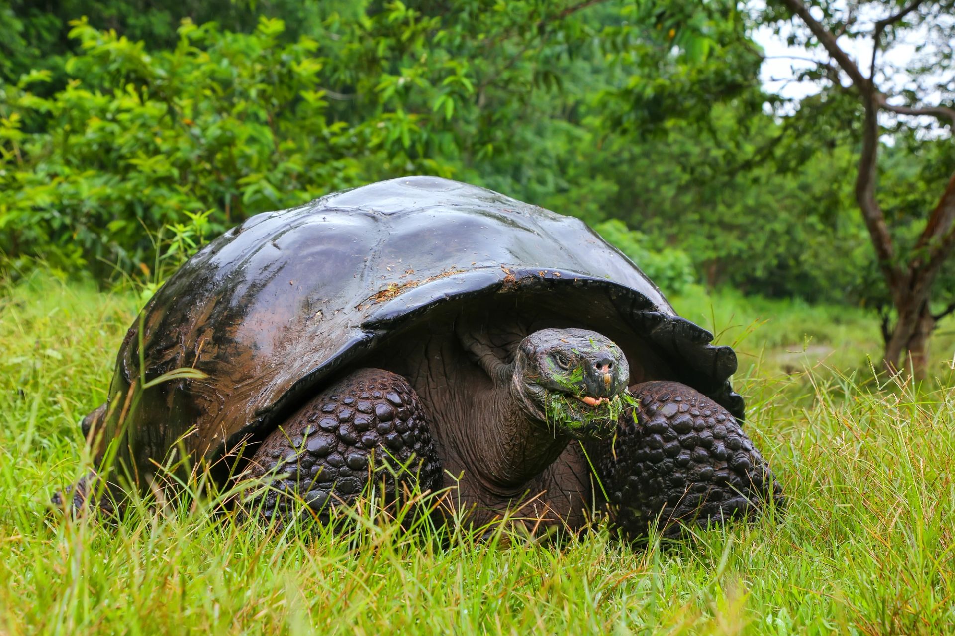 San Cristóbal, Galápagos a San Cristóbal, Galápagos