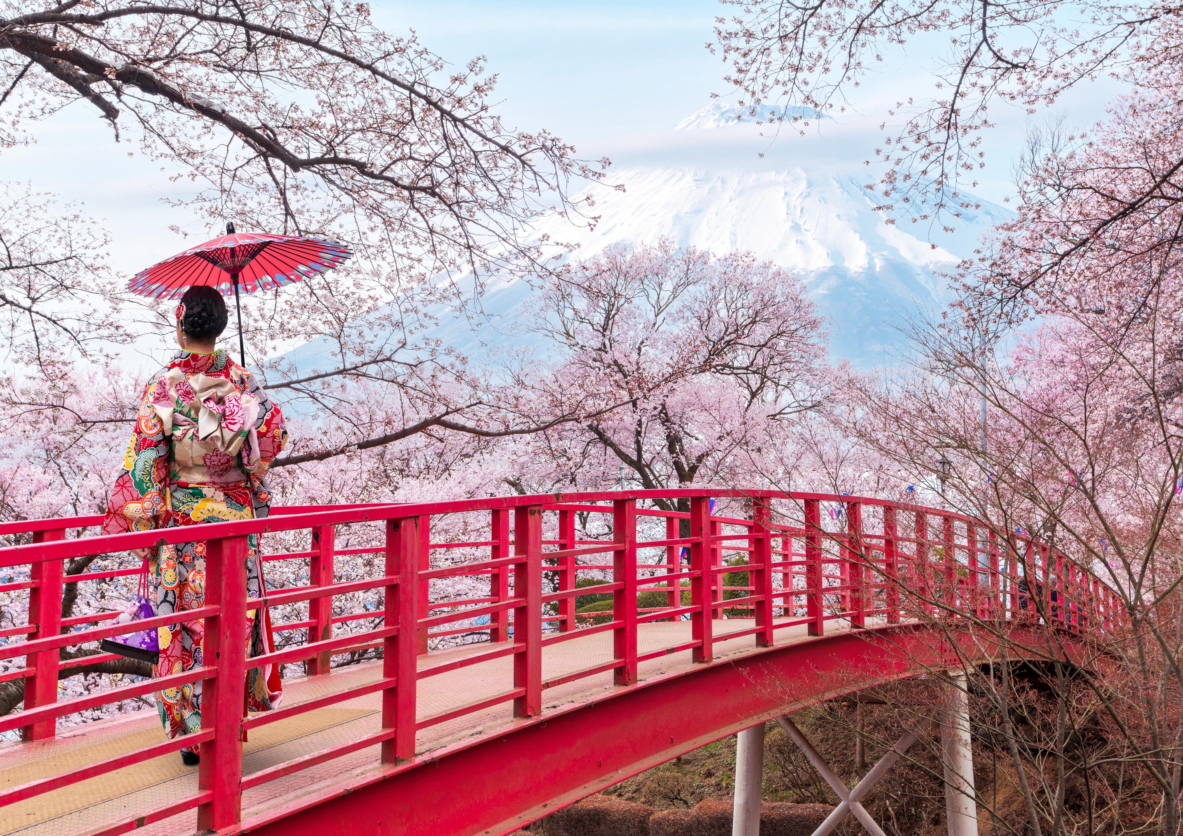 Japan Luxury Cruises