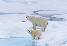 Svalbard Northern Region, Norway