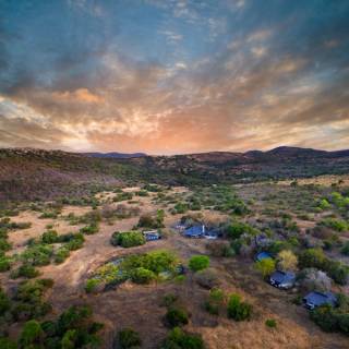 Safari en immersion totale à Phinda