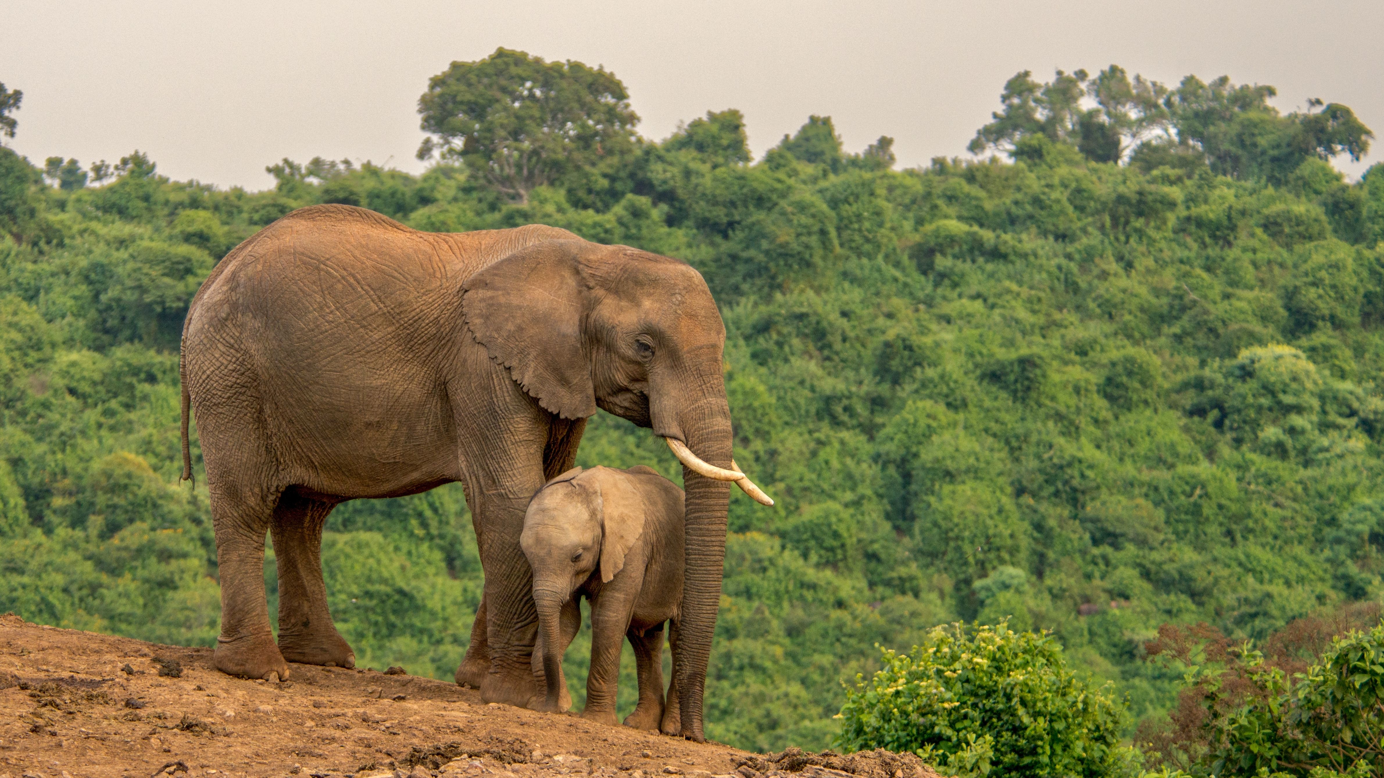 AFRICA & INDIAN OCEAN