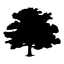 icon of OdysseyGPT