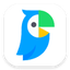 icon of Papago