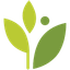 icon of athenahealth