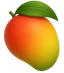 Logo for Magic Mango
