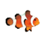 Icon for Clownfish Translator
