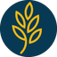 icon of Laurel Springs School
