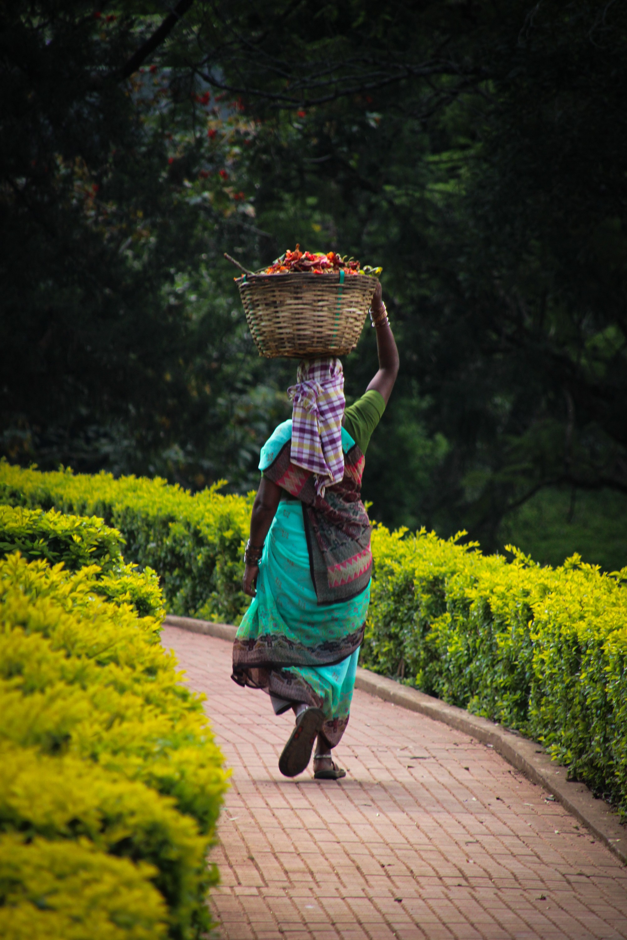 Ooty