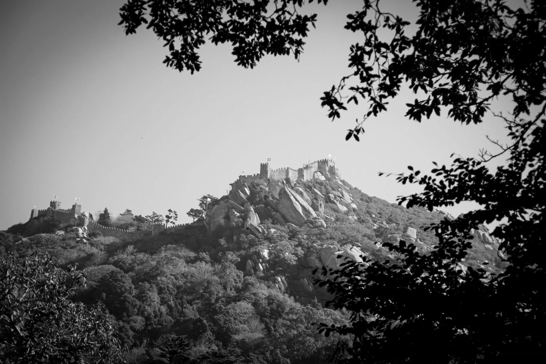 Palacio da Pena