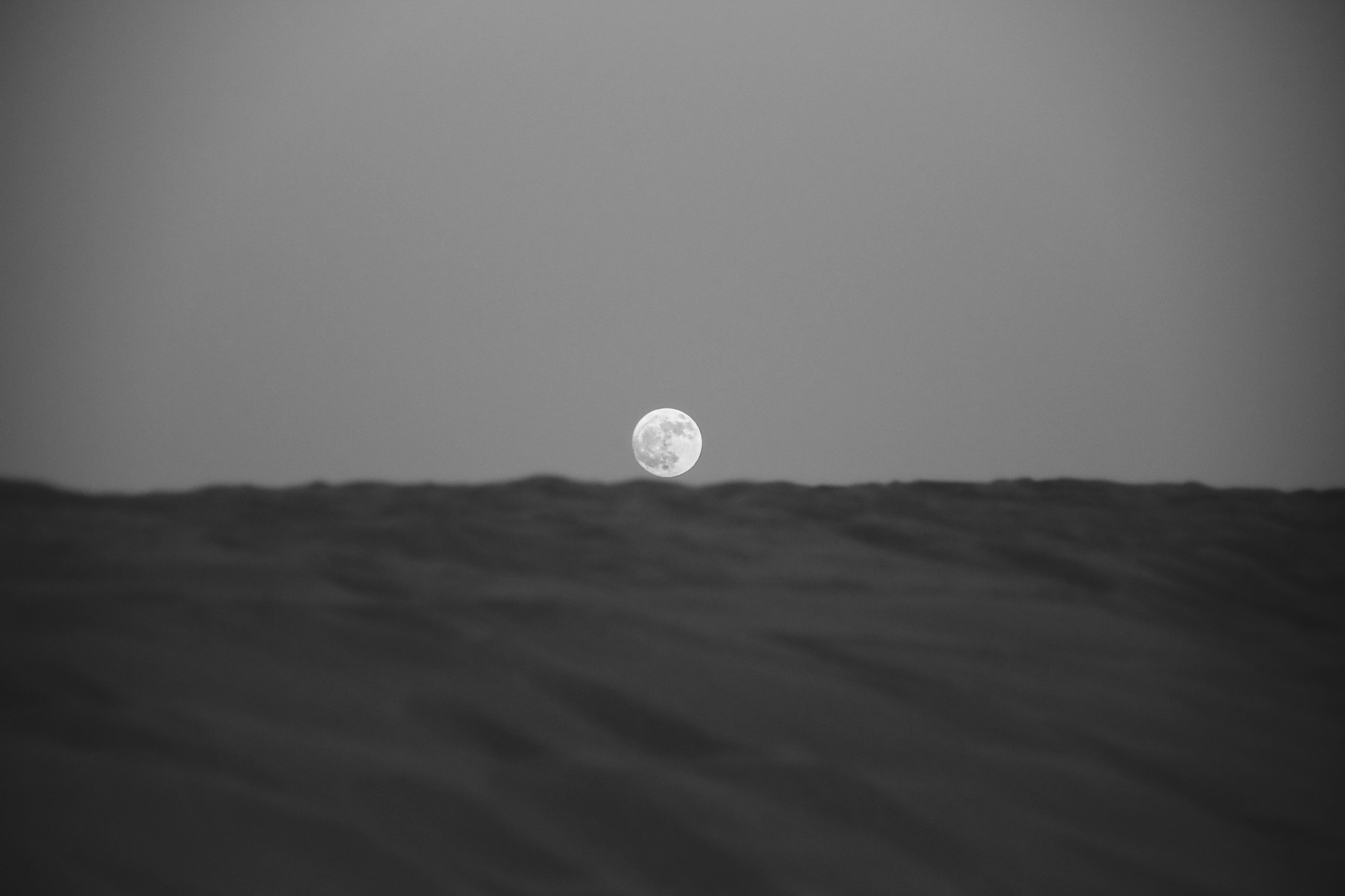 Desierto
