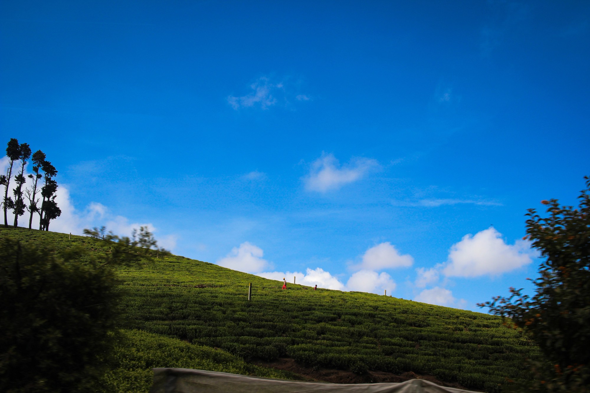 Ooty