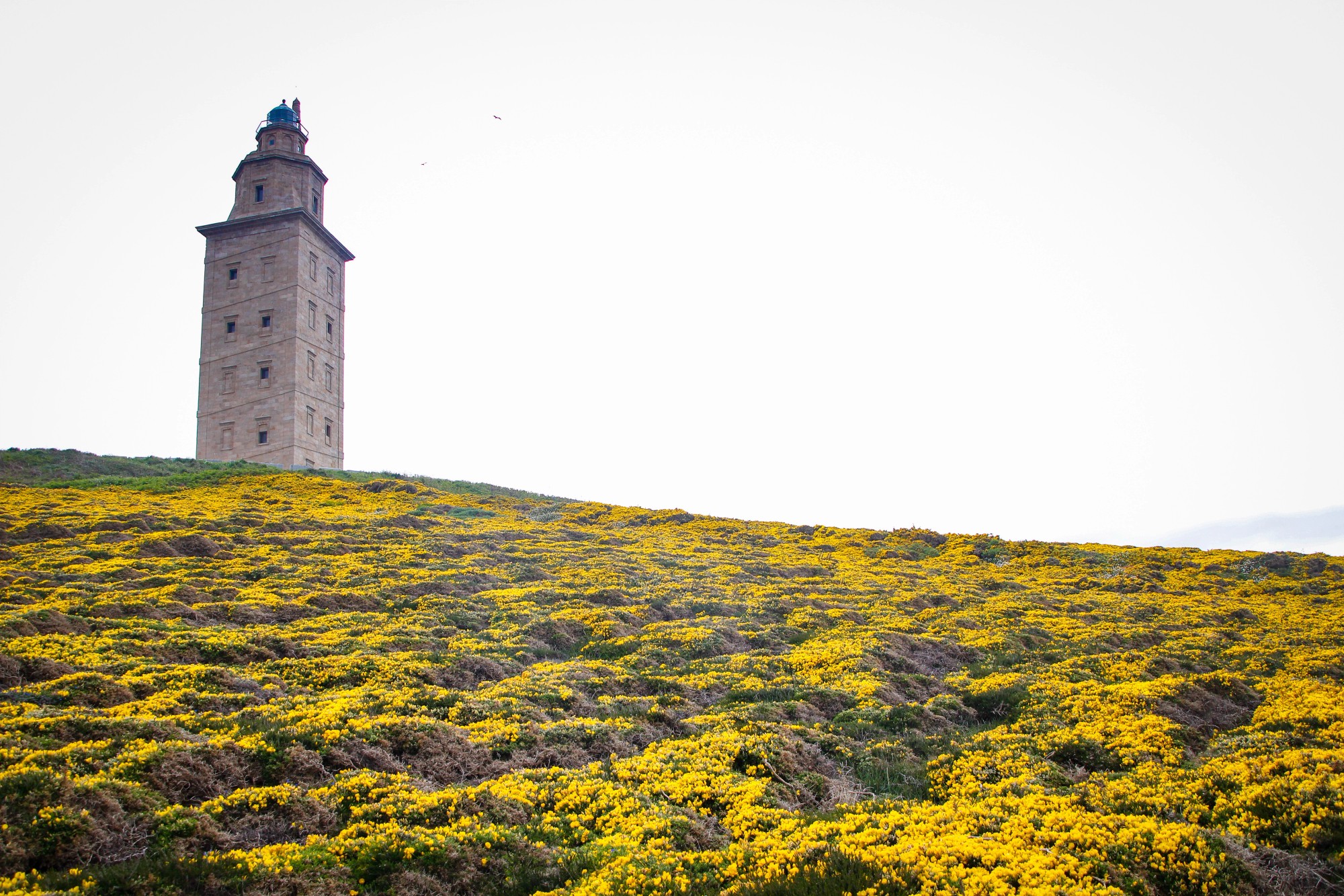 Galicia