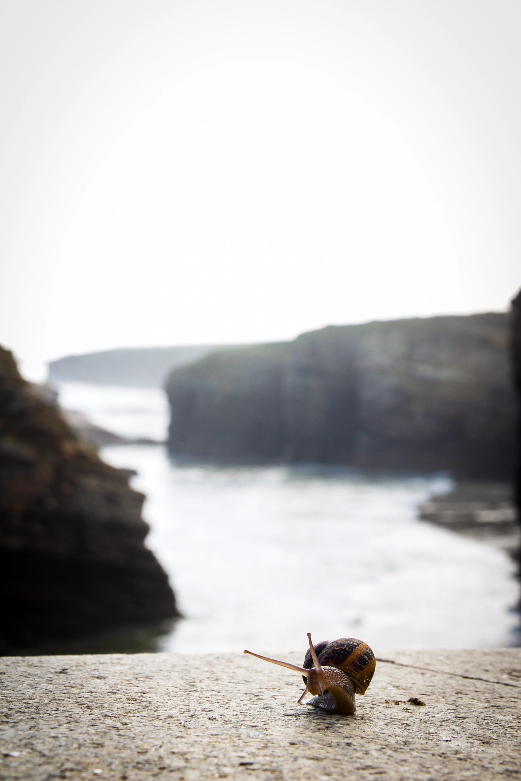 Galicia