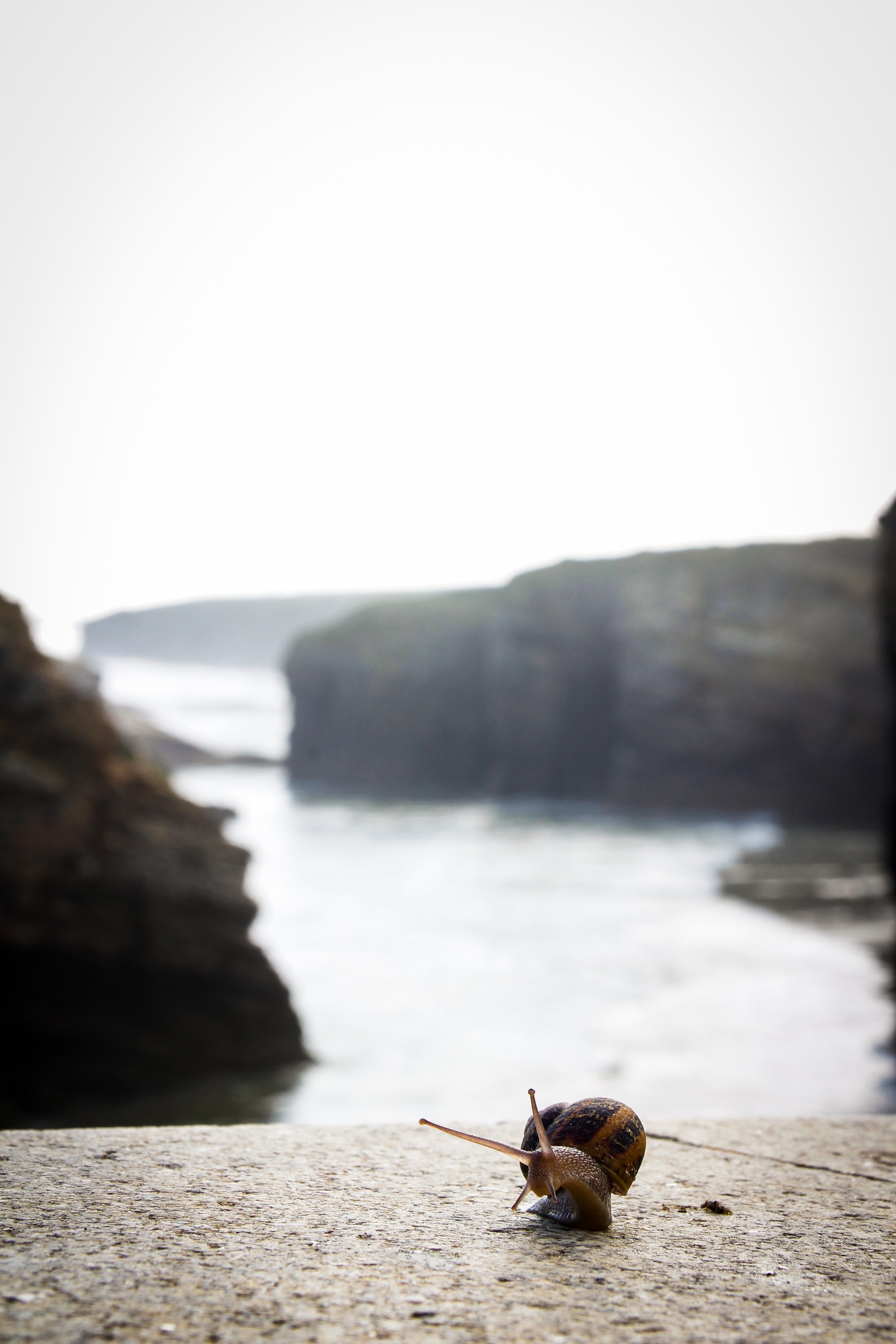 Galicia