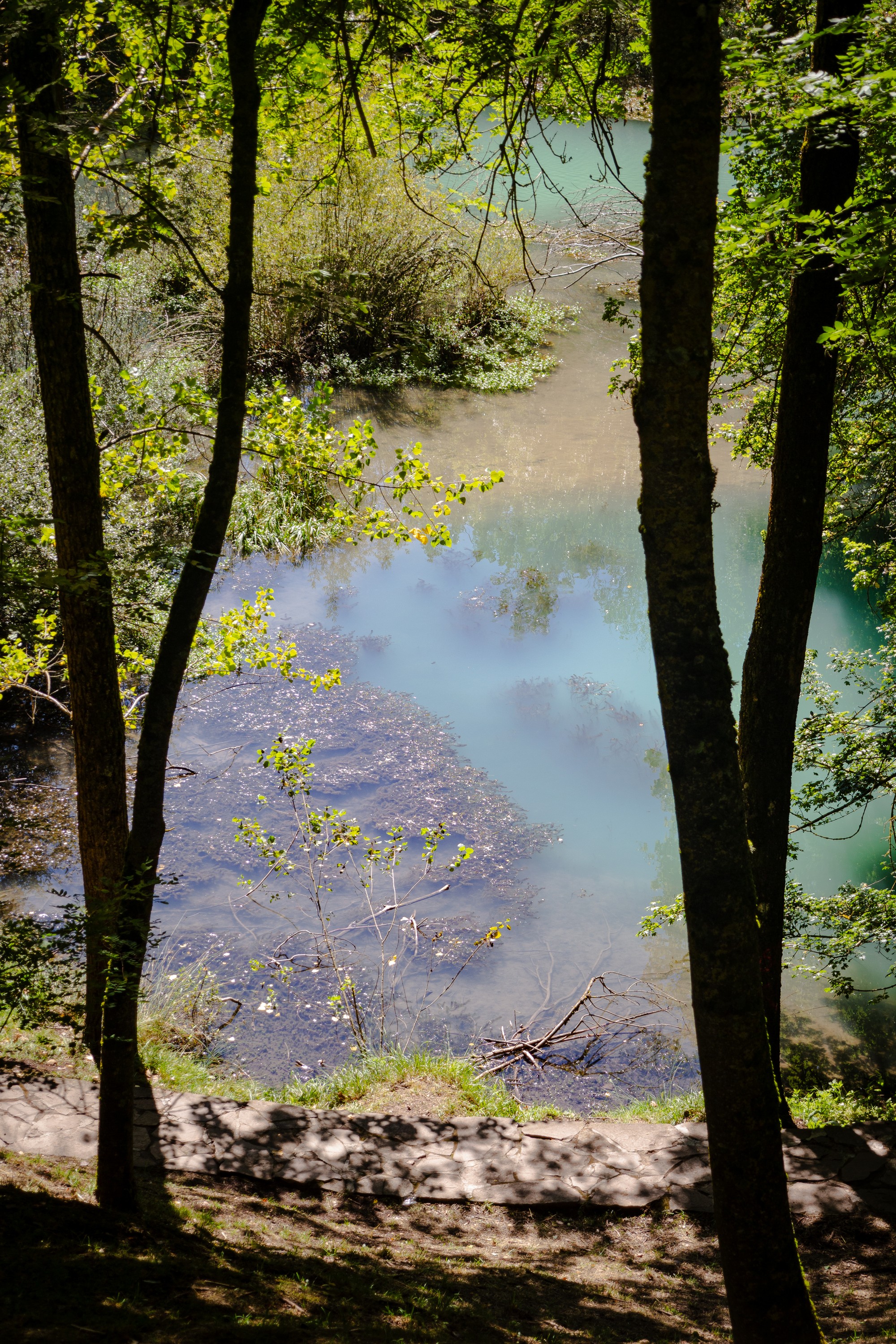 Nacimiento Río Ebro