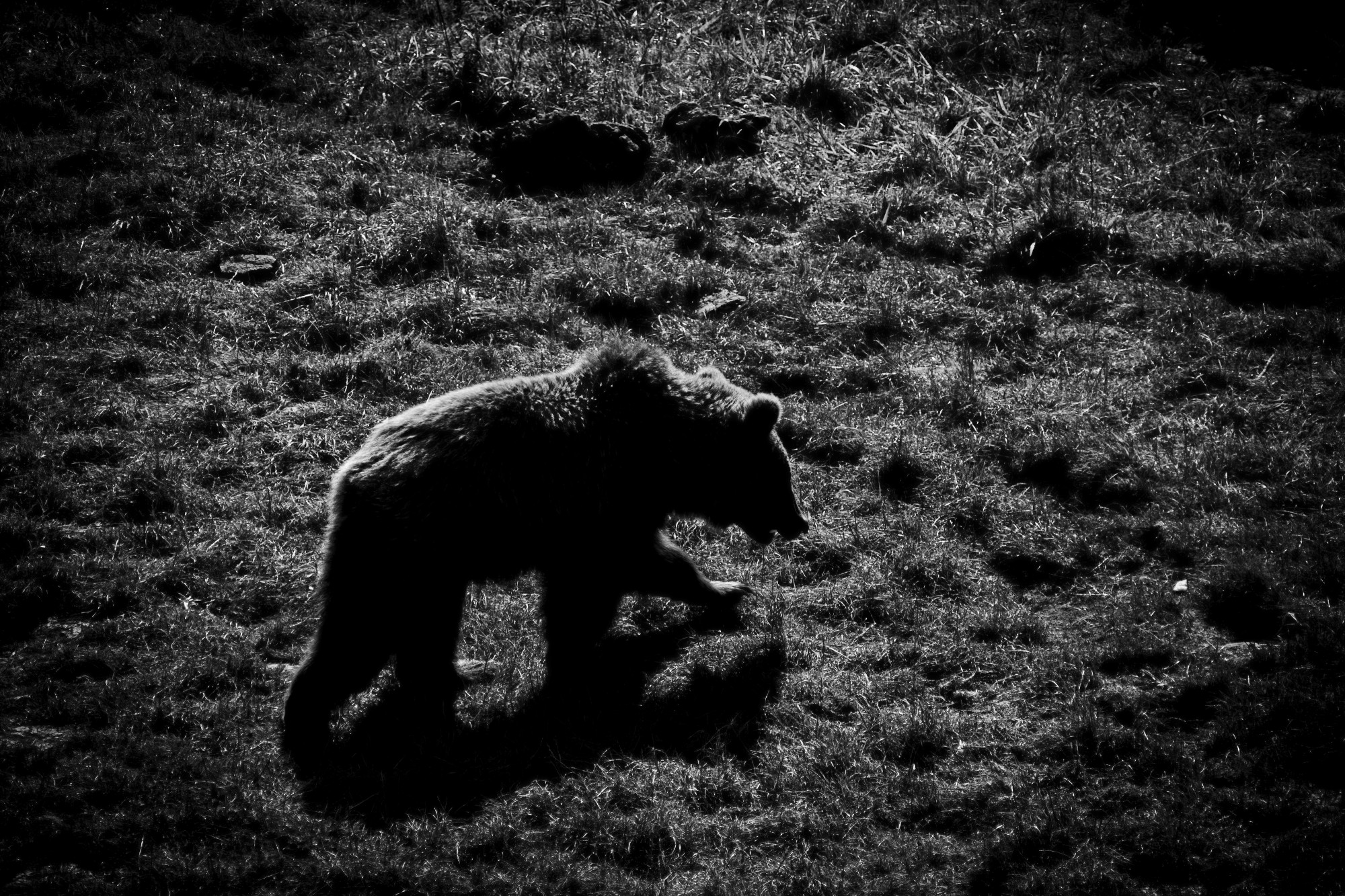 Cabárceno