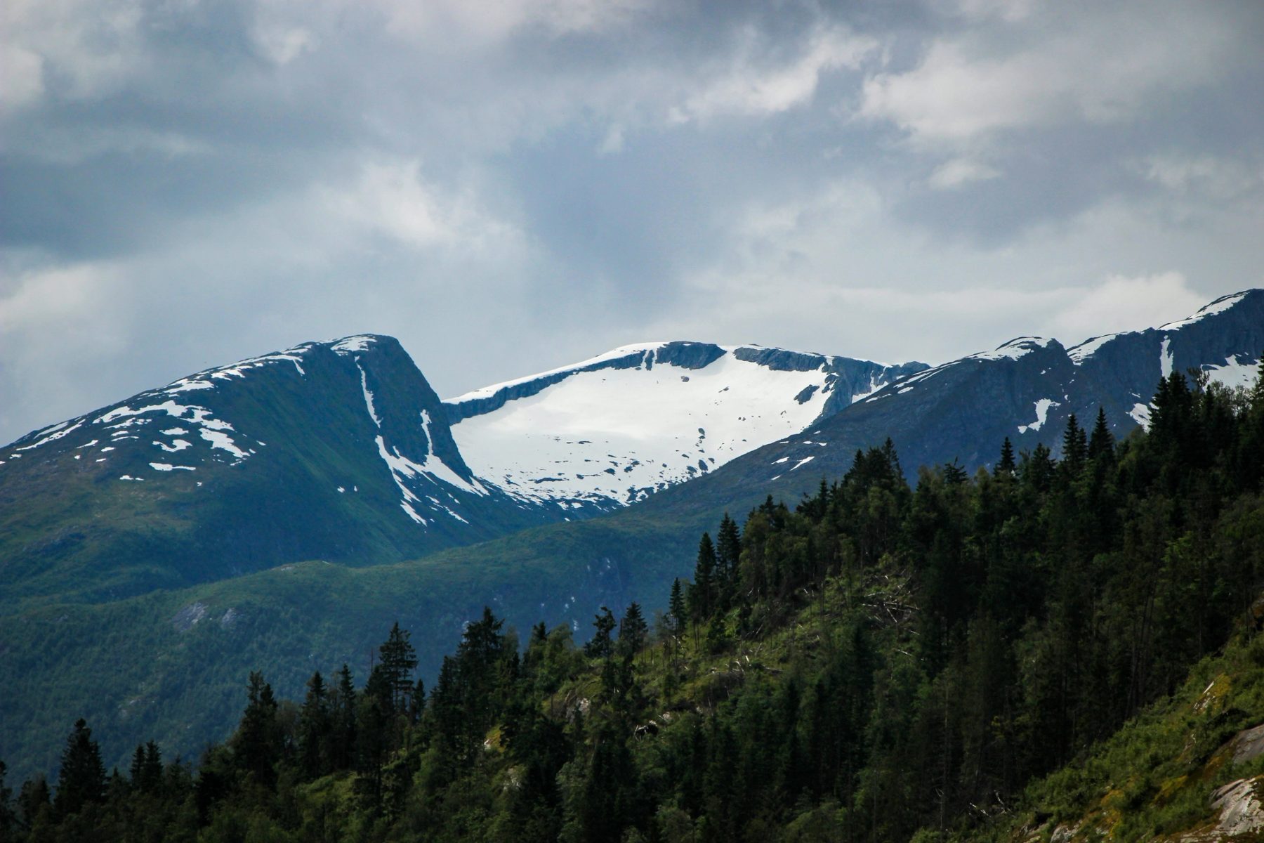 Stryn