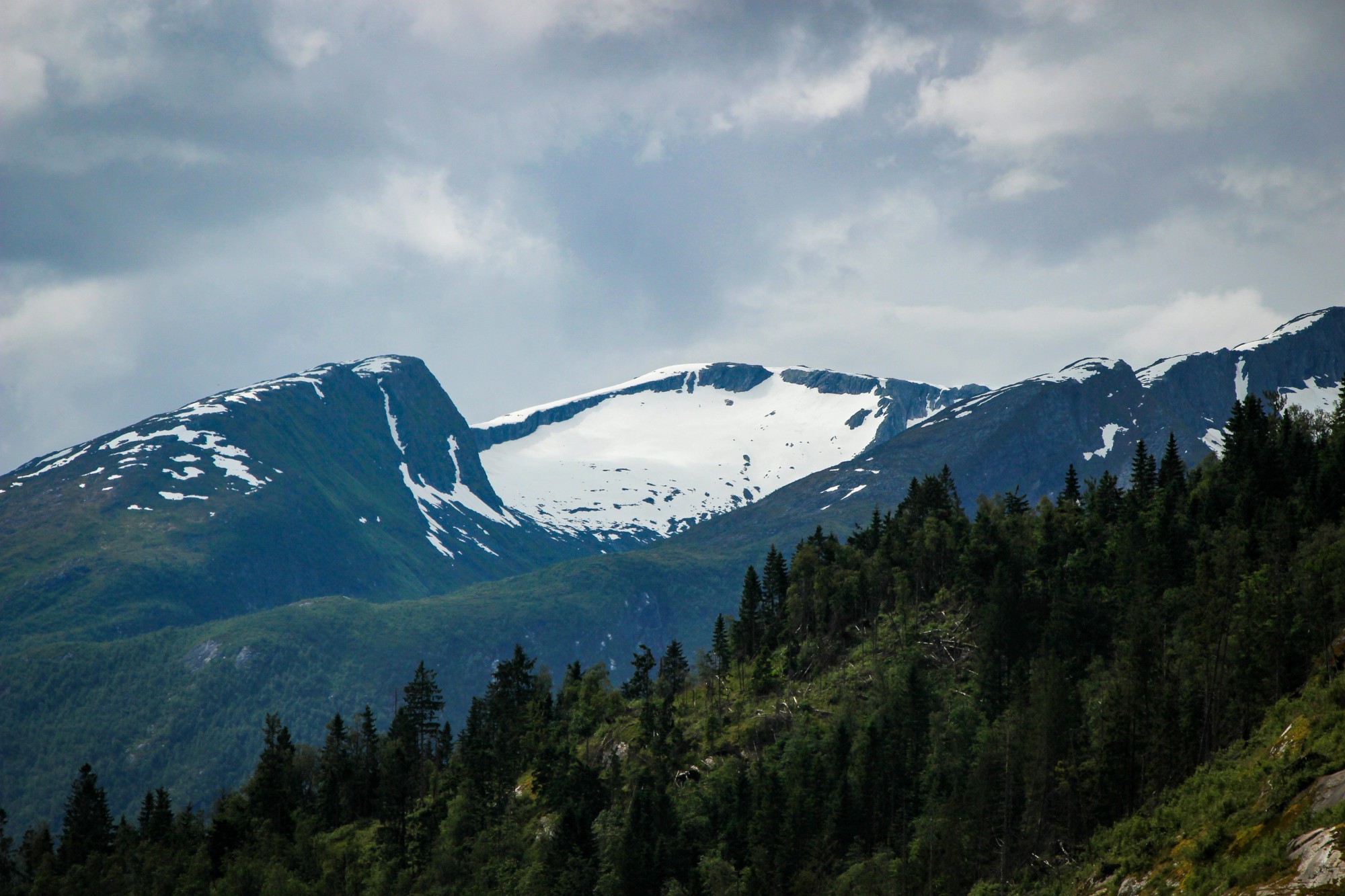 Stryn
