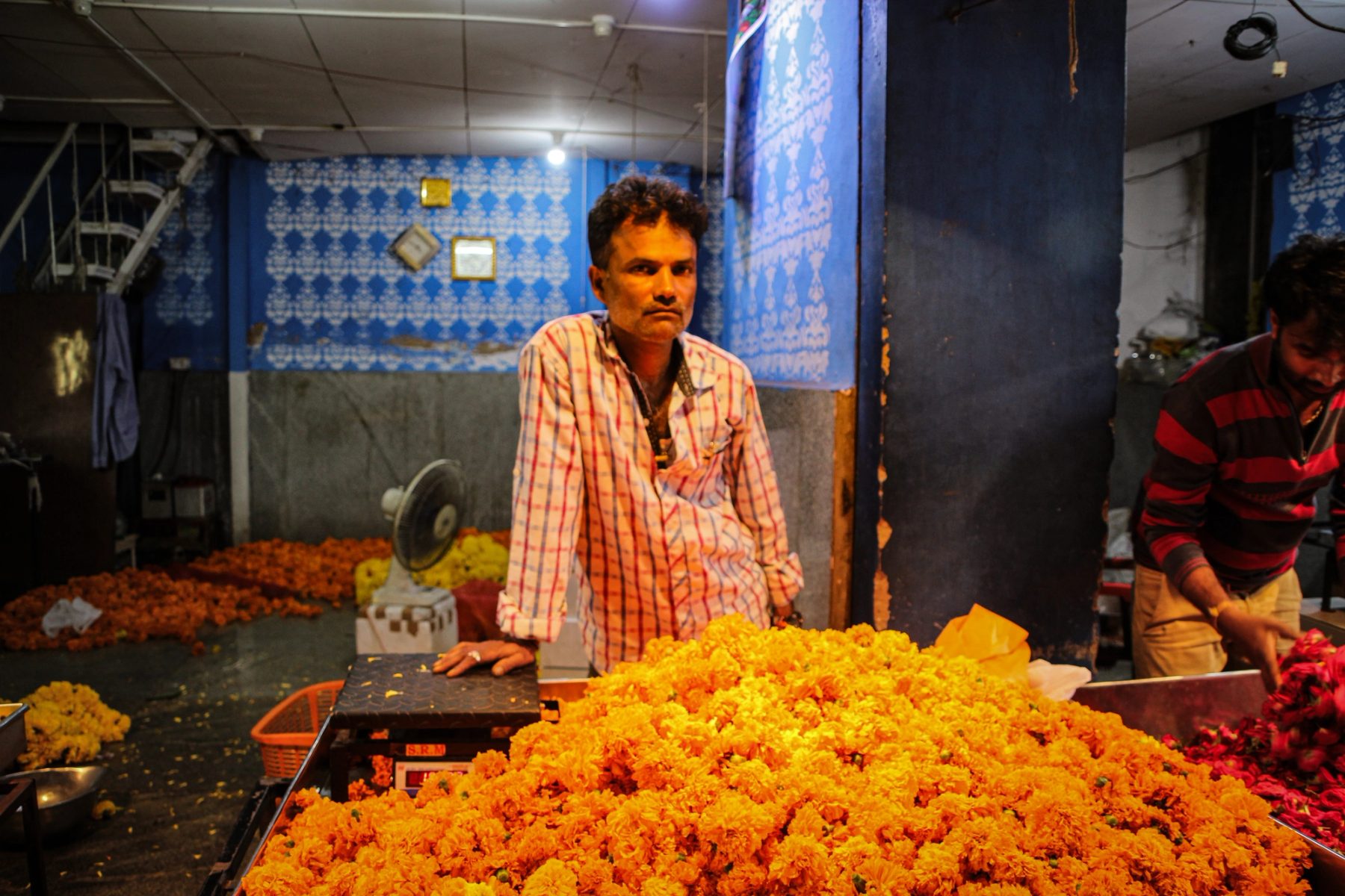 Mysore