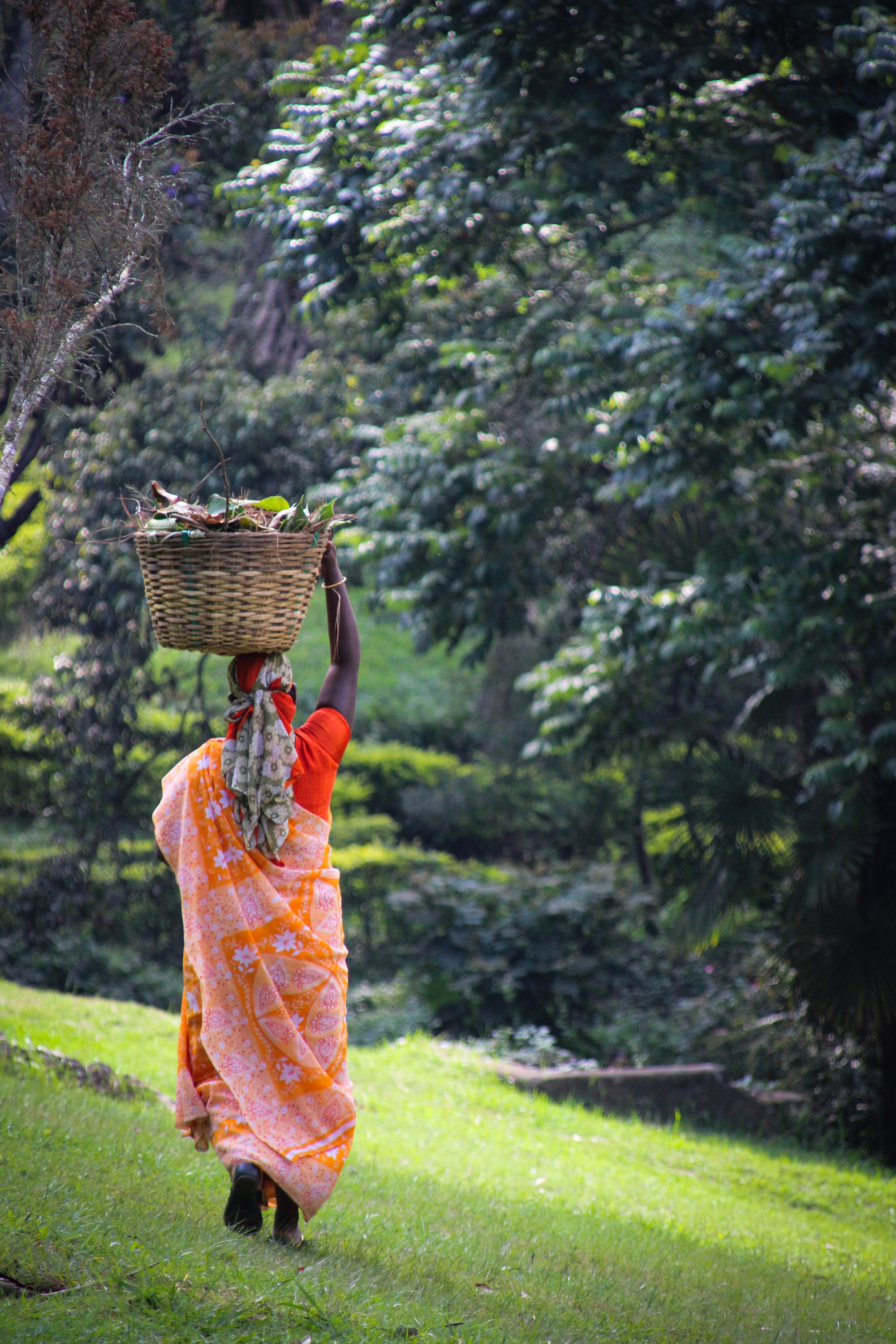Ooty