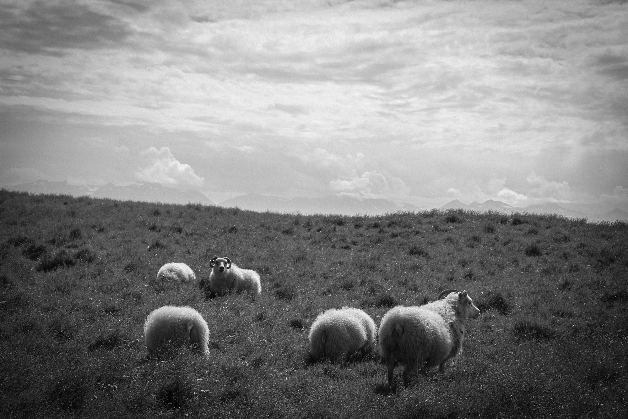 Au Coucher du Soleil