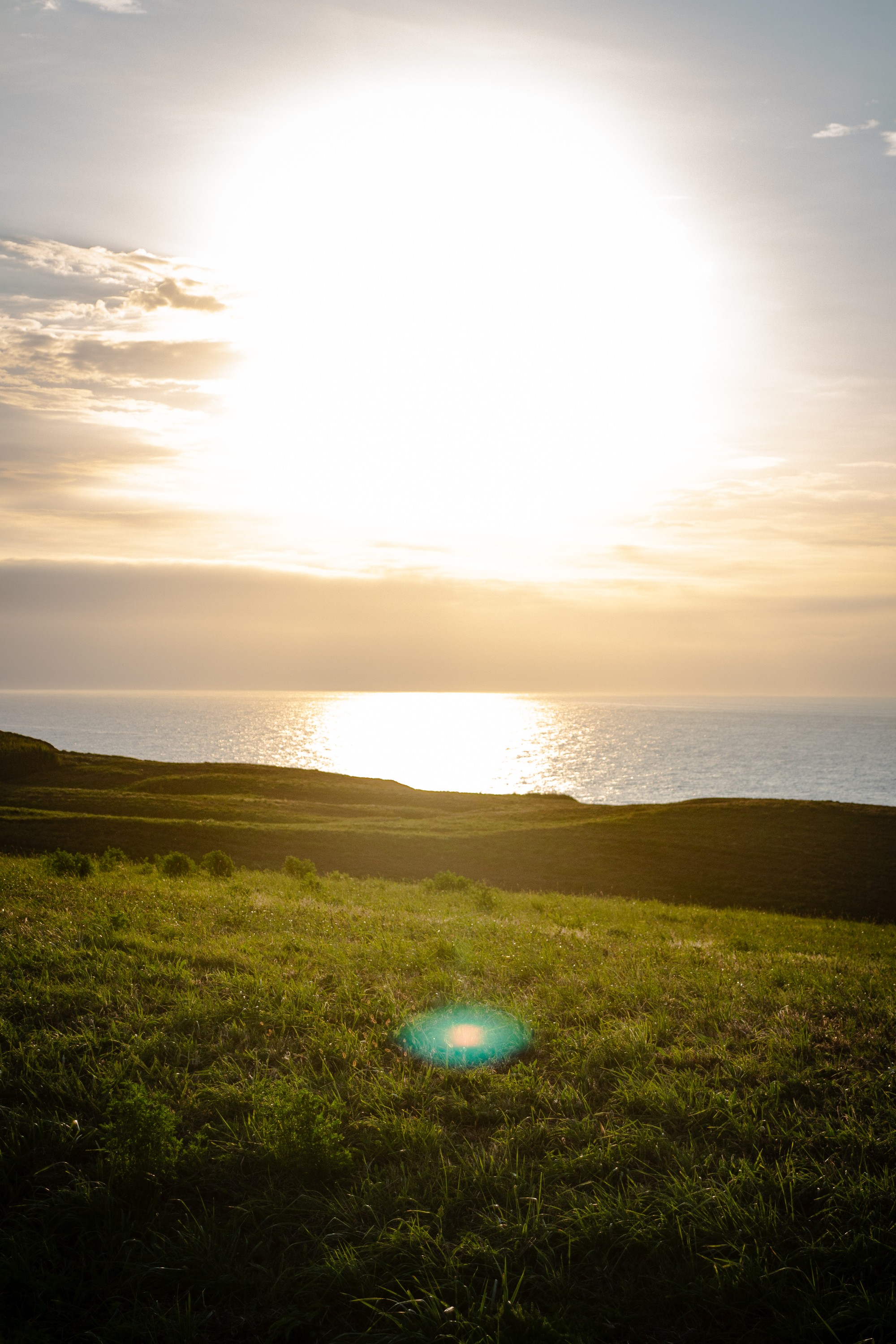 Suances