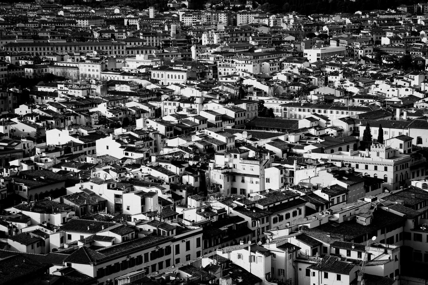 Florencia