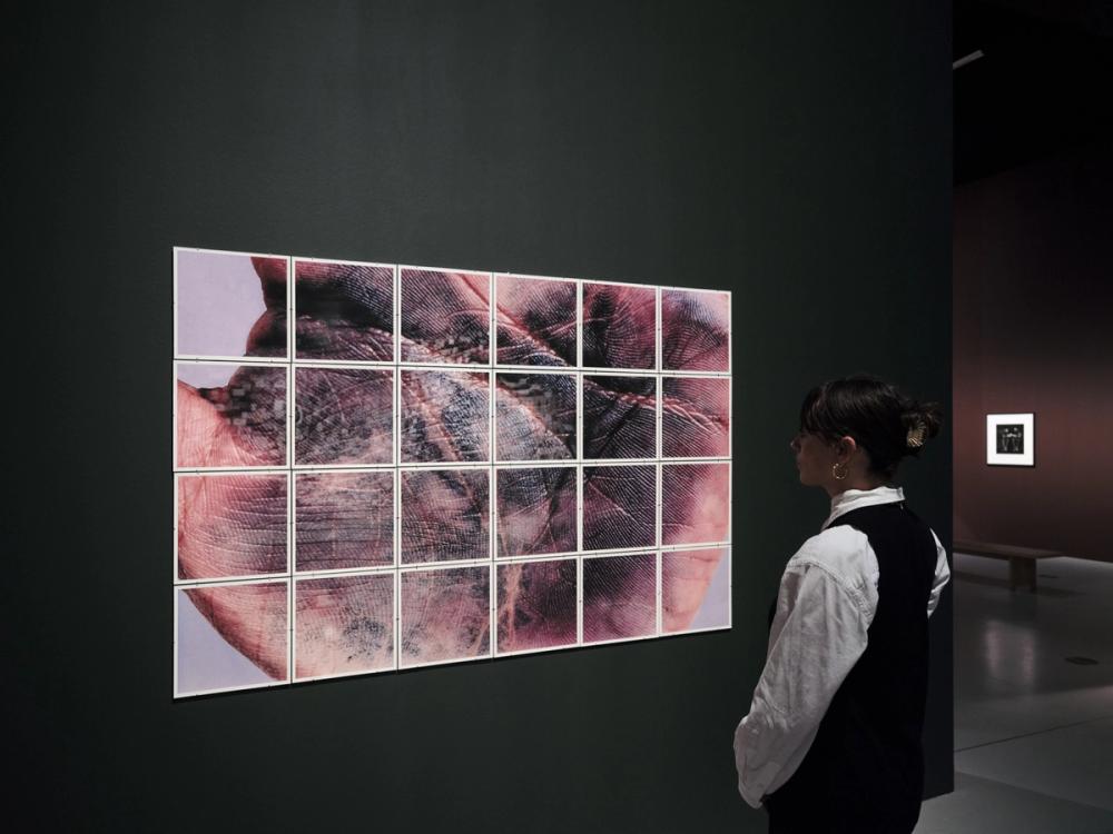 Ausstellungsansicht »Into the Unseen: The Walther Collection« © Deichtorhallen Hamburg, Foto: Henning Rogge