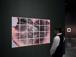 Ausstellungsansicht »Into the Unseen: The Walther Collection« © Deichtorhallen Hamburg, Foto: Henning Rogge