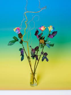 Annette Kelm, Bouquet (Birthday), 2019, Courtesy the artist and Galerie Ester Schipper