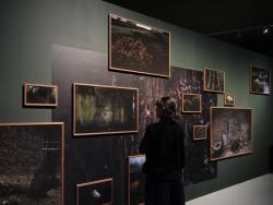 Ausstellungsansicht »Into the Unseen: The Walther Collection« © Deichtorhallen Hamburg, Foto: Henning Rogge