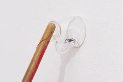 Akinori Tao, Ich bin gleich wieder da, 2021/24, Foto: Antje Sauer