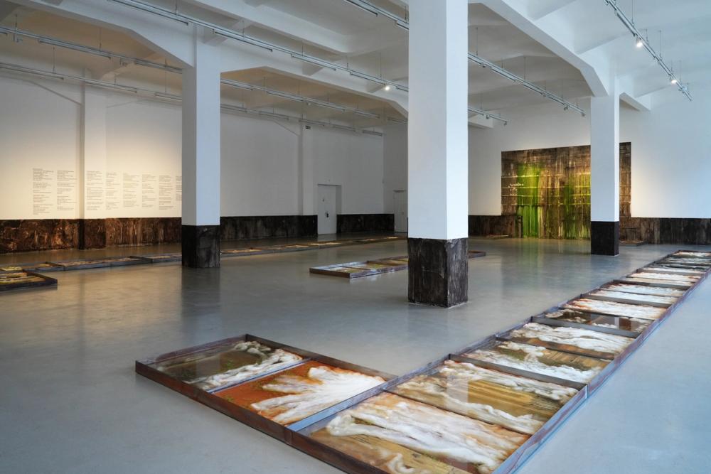 Installationsansicht: Melike Kara – Whispers, Kunsthaus Hamburg 2026, Foto: Jaewon Kim