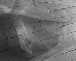 Olga Balema, Kunstverein in Hamburg, 2025.