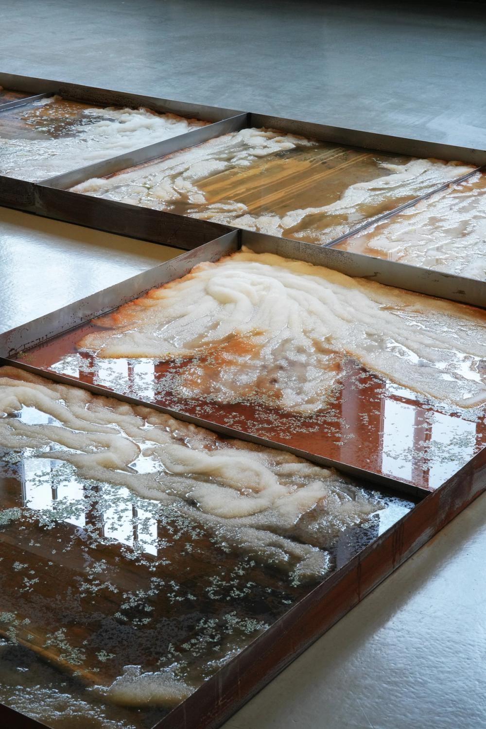 Installationsansicht: Melike Kara – Whispers, Kunsthaus Hamburg 2026, Foto: Jaewon Kim