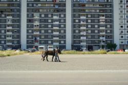 Francesca Bertin, TARA, 2020, Courtesy the artist