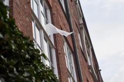 Jakob Spengemann, Akinori Tao, Ein 1,- €, 2024, Foto: Antje Sauer