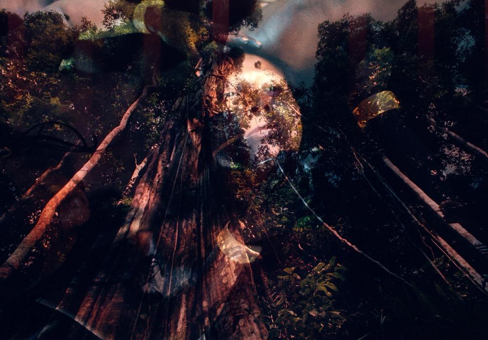 © Claudia Andujar