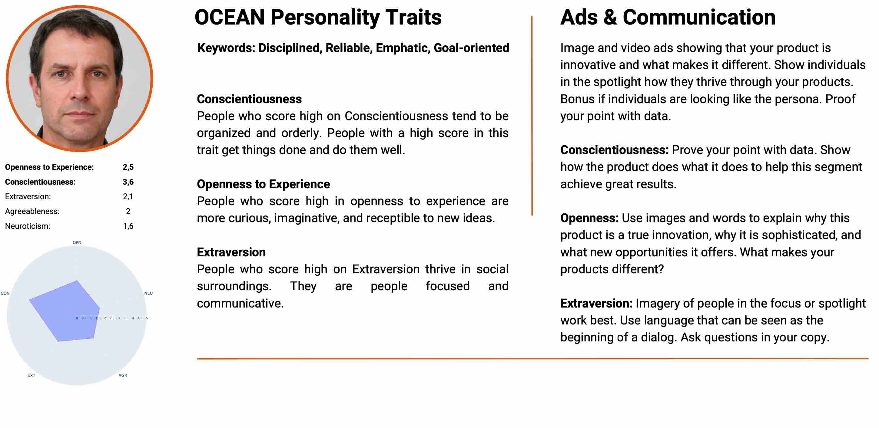 Salesforce Buyer Persona Personality Traits