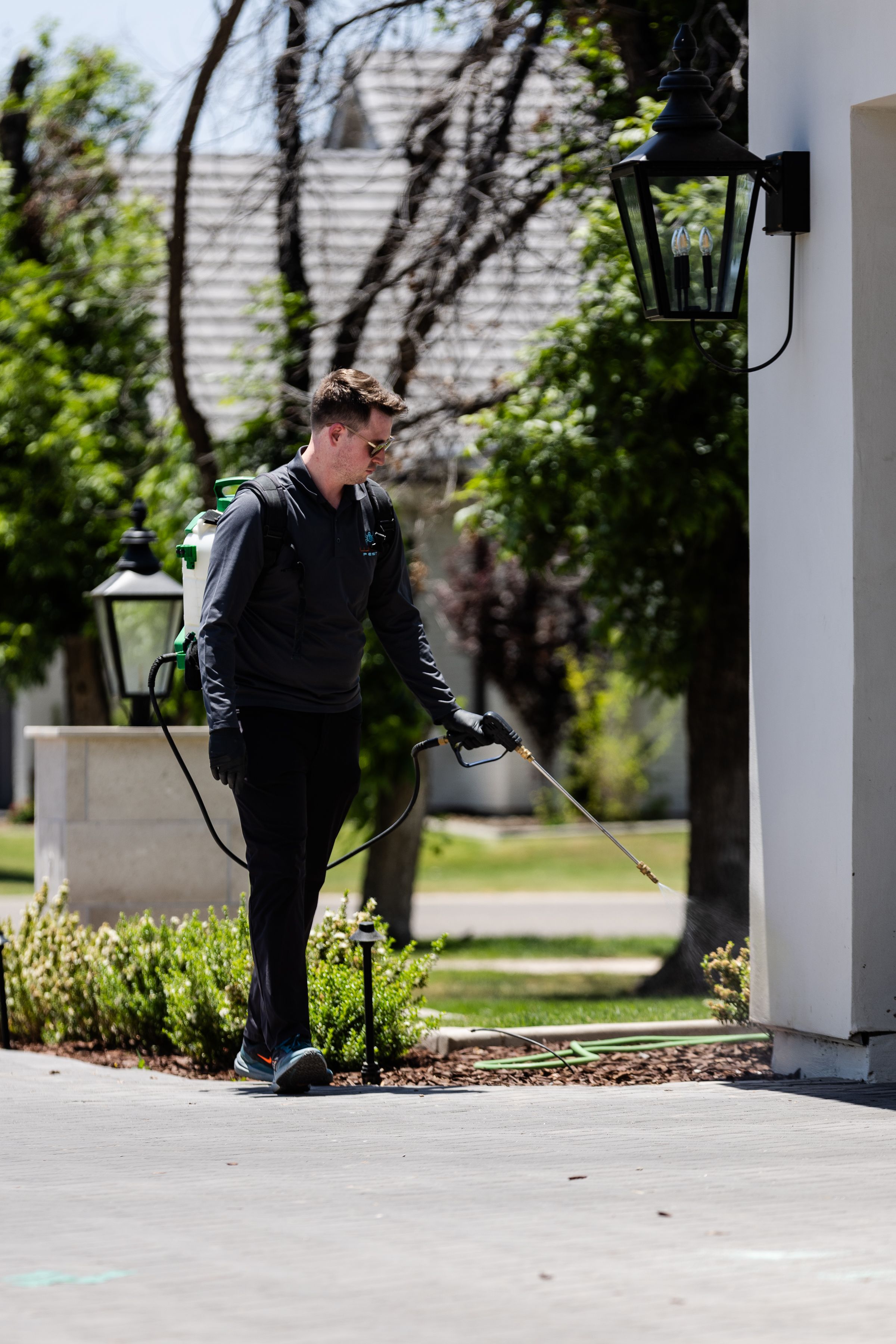 Commercial fly control services