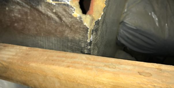 Health Risks & Property Damage