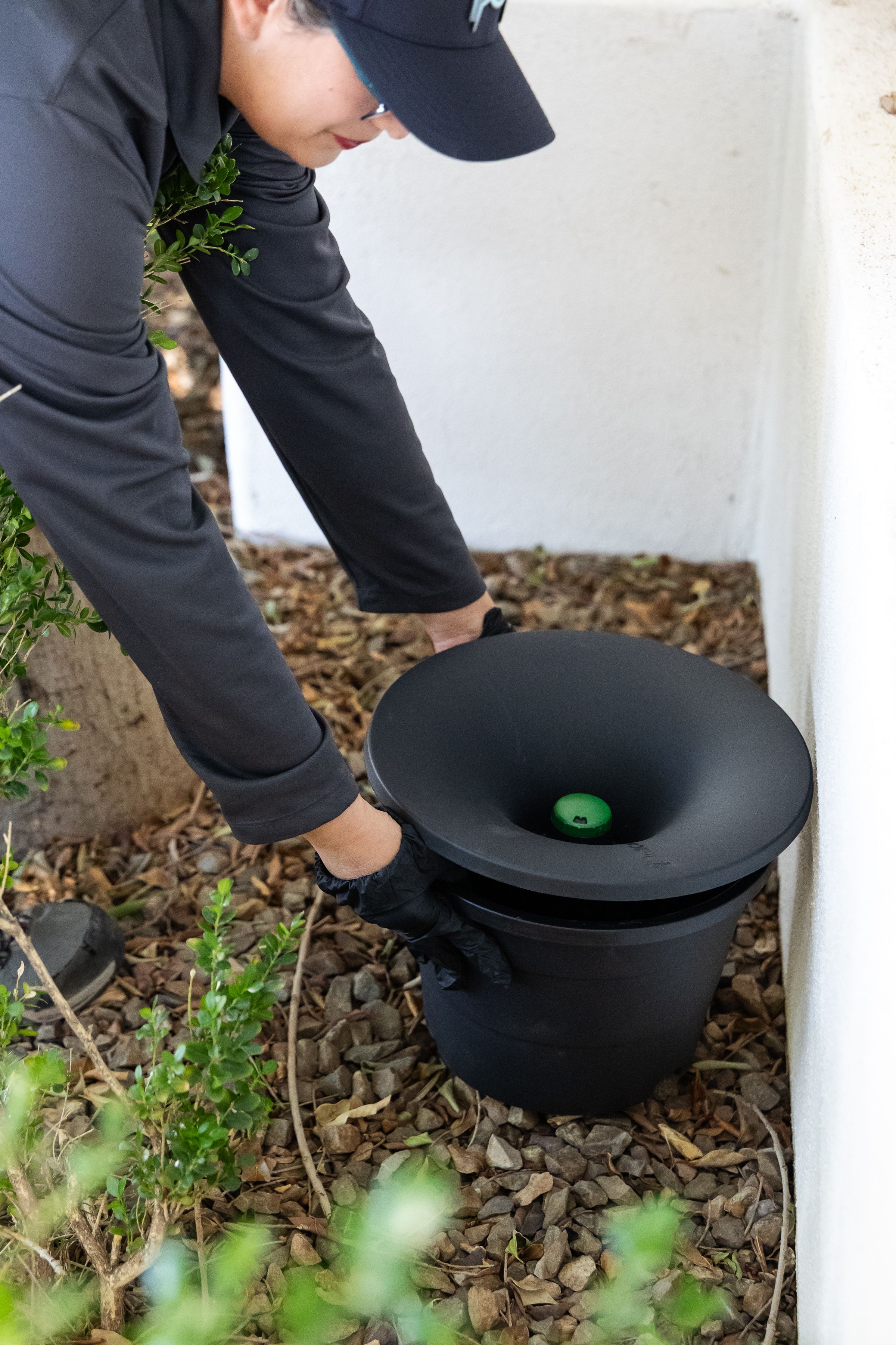 Exterior spider treatment