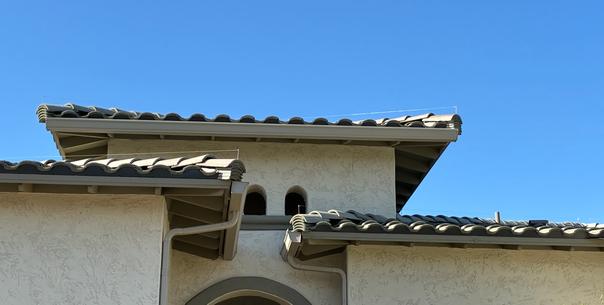 Long-Term Bird Prevention Strategies for AZ Properties