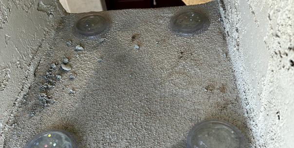 Commercial and Residential Bird Control Solutions We Offer
